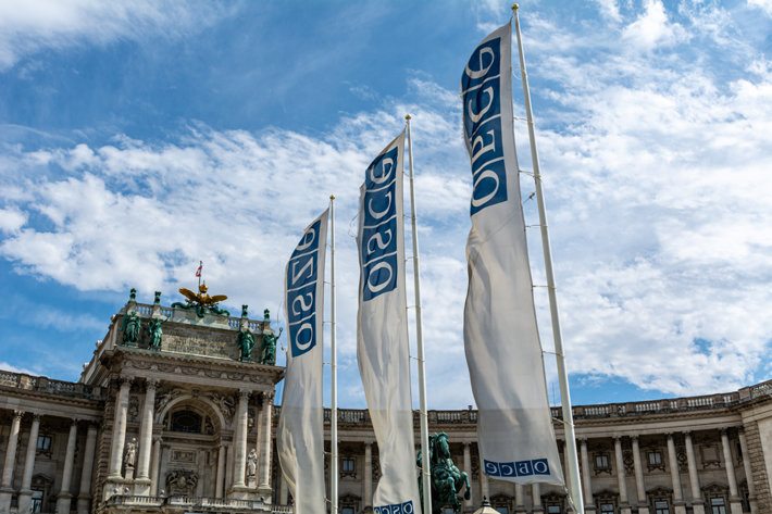 Organization for Security and Cooperation in Europe (OSCE)  Headquarters in the Hofburg Palace in Vienna, Austria (Photo by LukeOnTheRoad, Shutterstock.com)